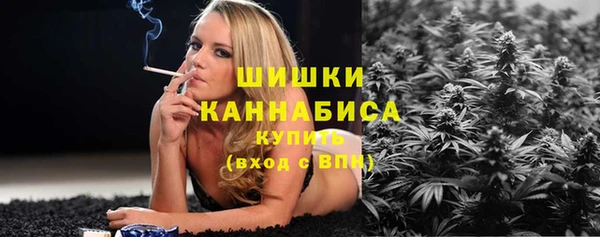 соль ск Волосово